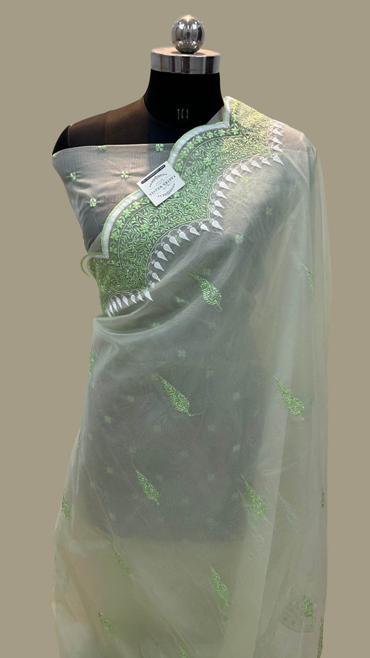 Organza Silk Banarasi Saree - with chikankari all over