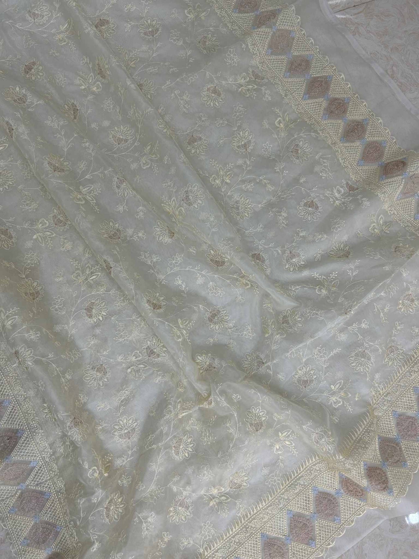 Organza Silk Banarasi Saree - with chikankari all over