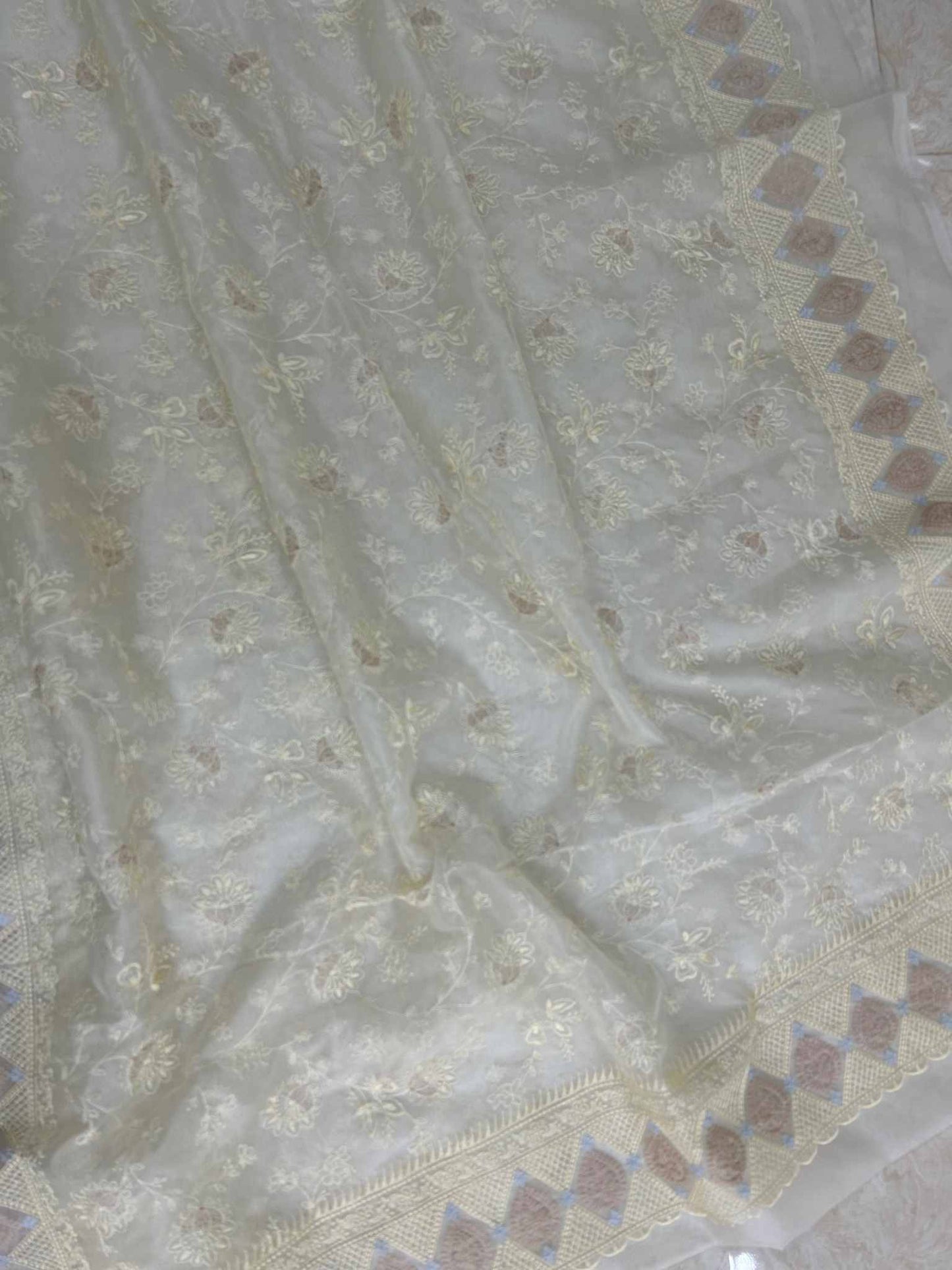 Organza Silk Banarasi Saree - with chikankari all over