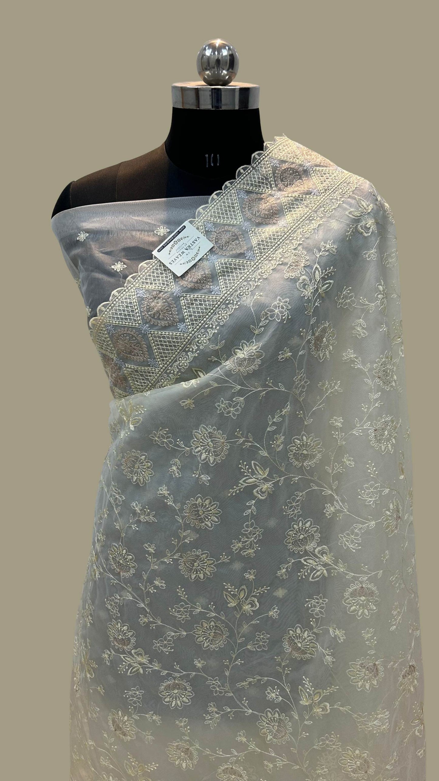 Organza Silk Banarasi Saree - with chikankari all over