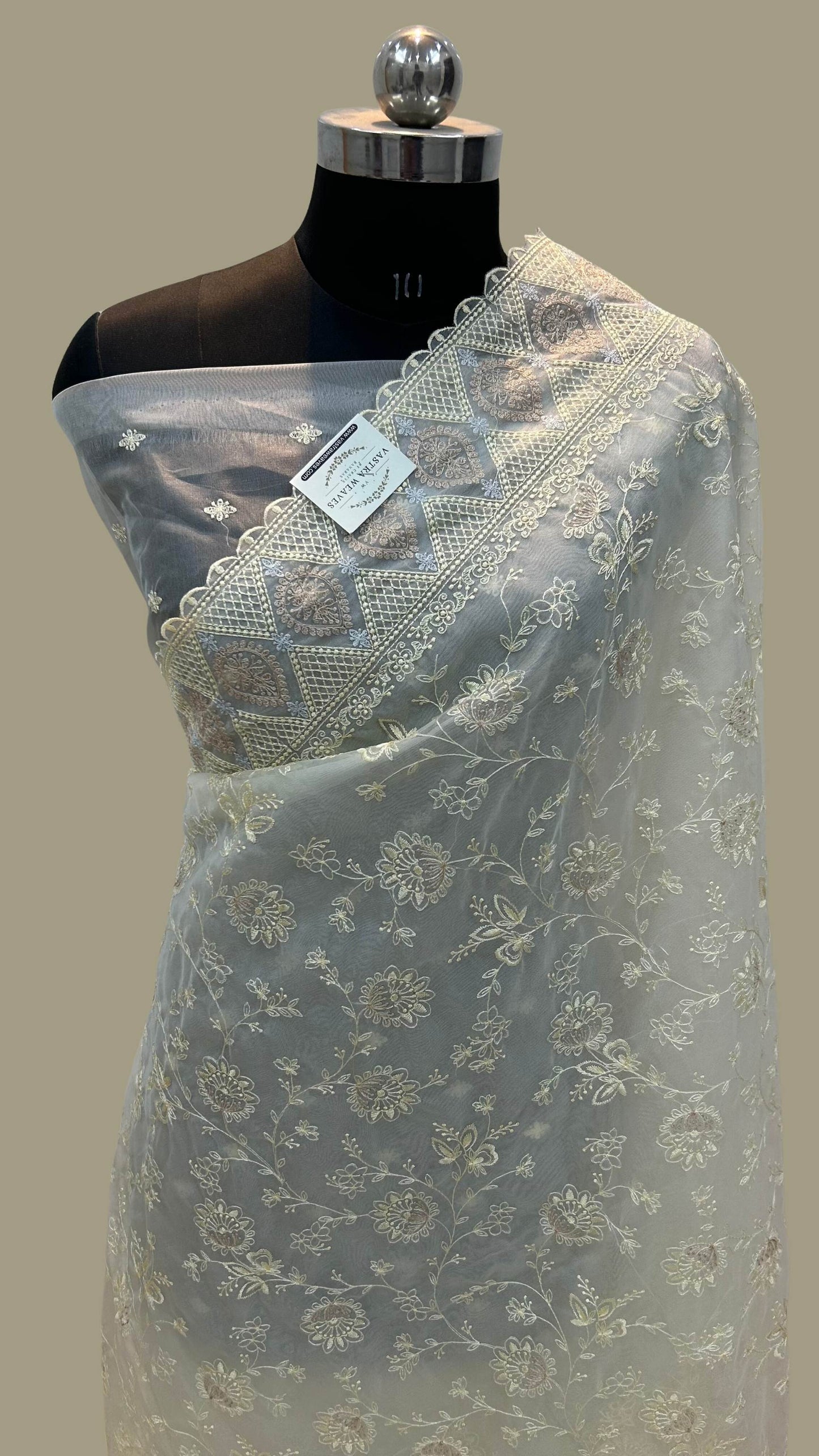 Organza Silk Banarasi Saree - with chikankari all over