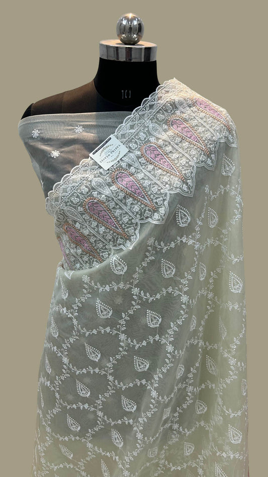 Organza Silk Banarasi Saree - with chikankari all over