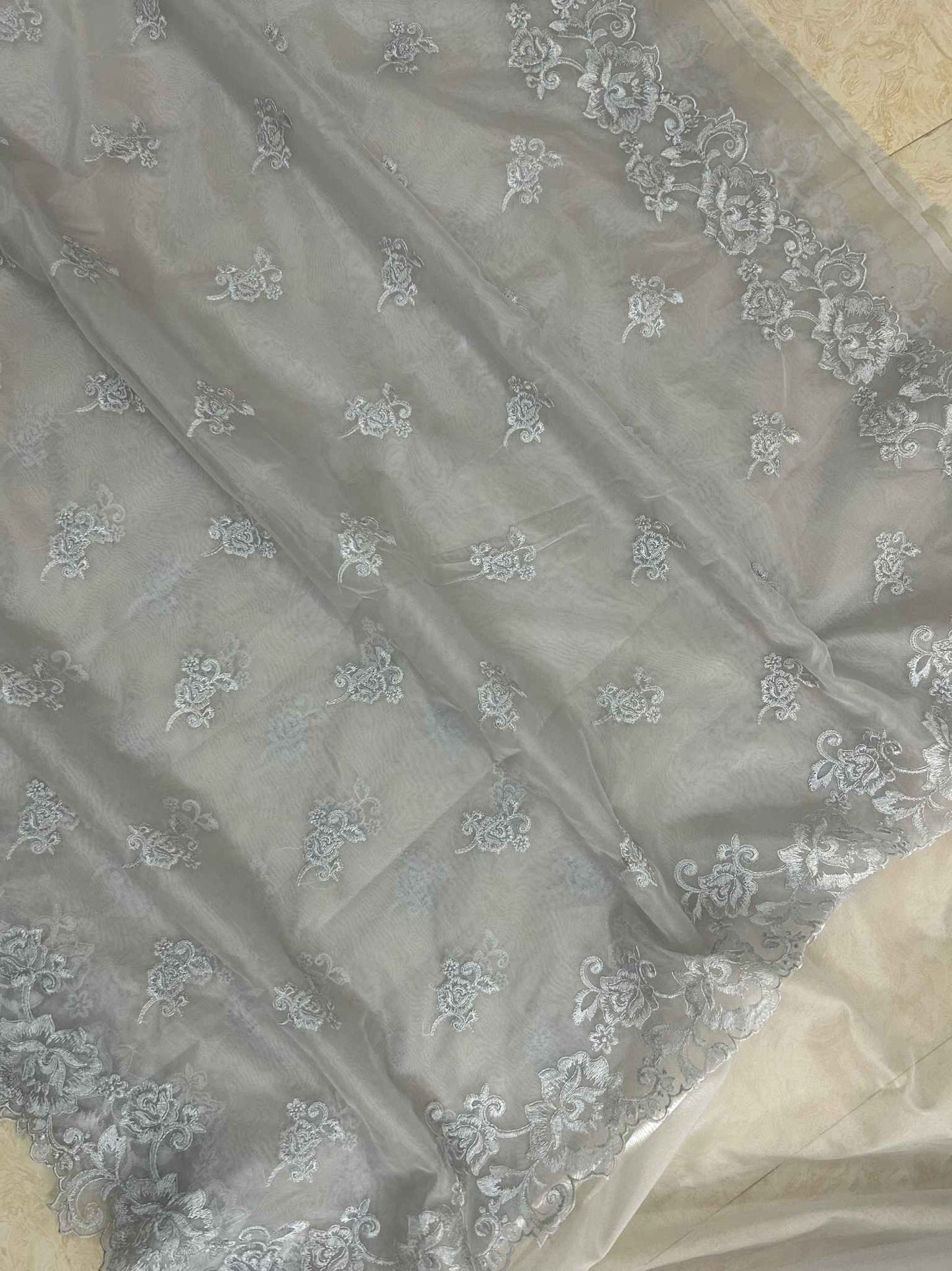 Organza Silk Banarasi Saree - with chikankari all over