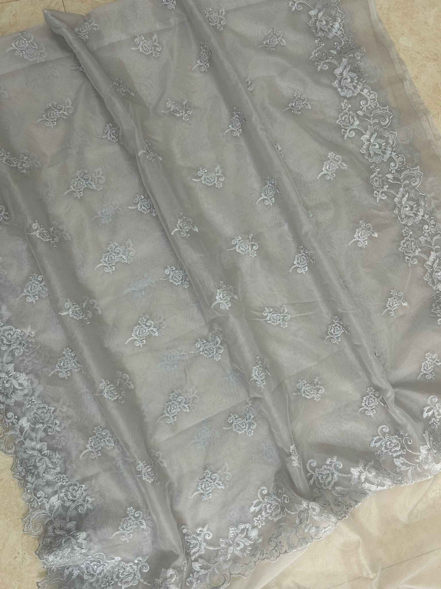 Organza Silk Banarasi Saree - with chikankari all over