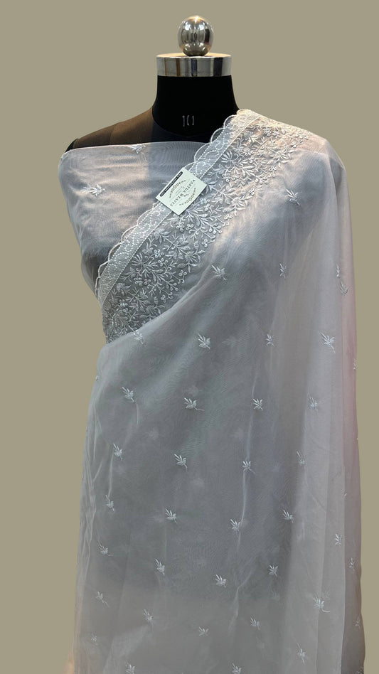 Organza Silk Banarasi Saree - with chikankari all over