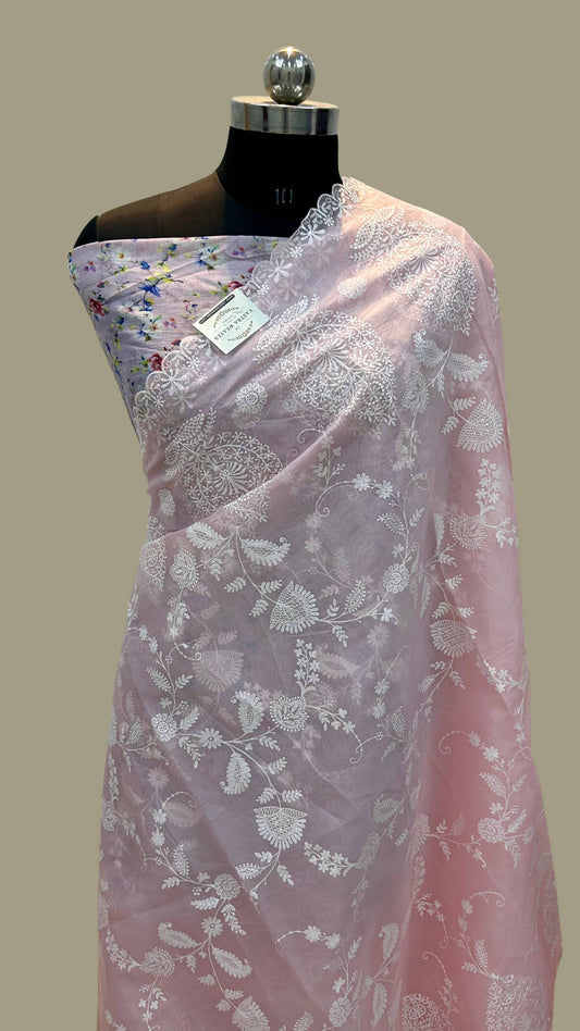 Organza Silk Banarasi Saree - with chikankari all over