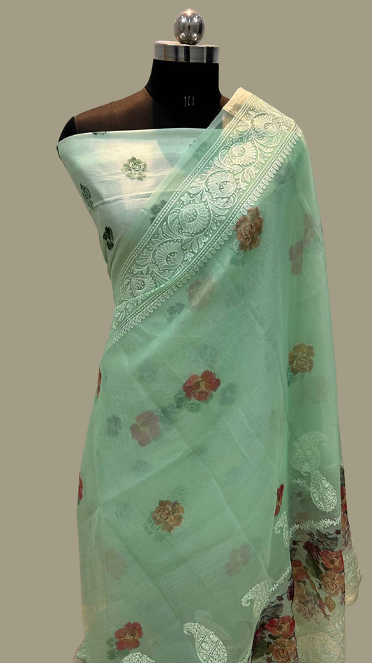 Organza Silk Banarasi Saree - Digital print with chikankari