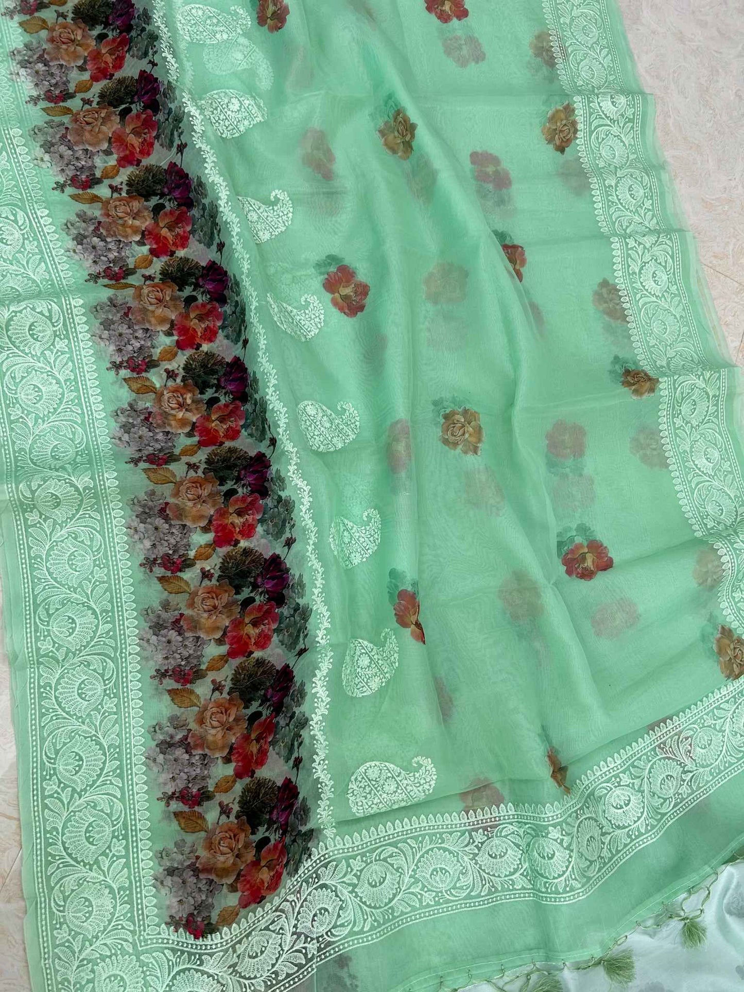 Organza Silk Banarasi Saree - Digital print with chikankari